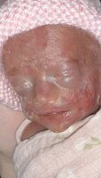 Addelyn Joy Hebner